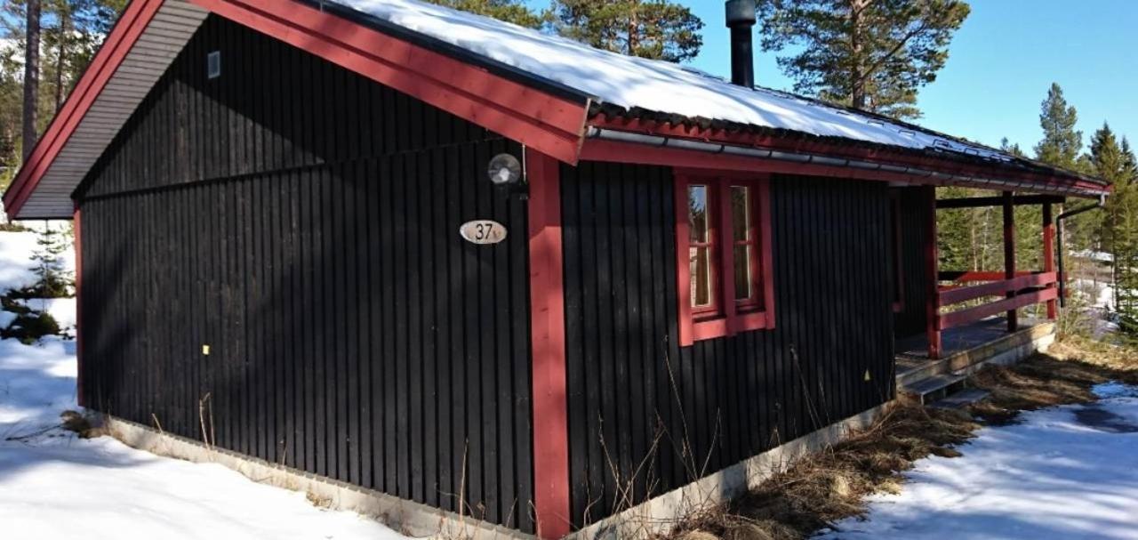 Sauna | Wi-Fi | Terrace | Wood Stove | Cable Tv Lofsdalen Exterior foto